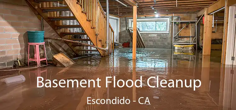 Basement Flood Cleanup Escondido - CA