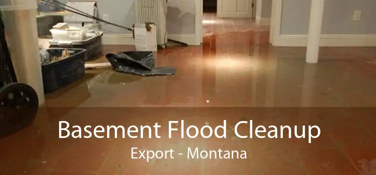 Basement Flood Cleanup Export - Montana