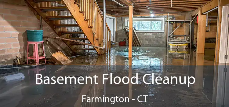 Basement Flood Cleanup Farmington - CT