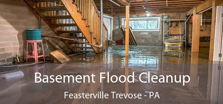 Basement Flood Cleanup Feasterville Trevose - PA