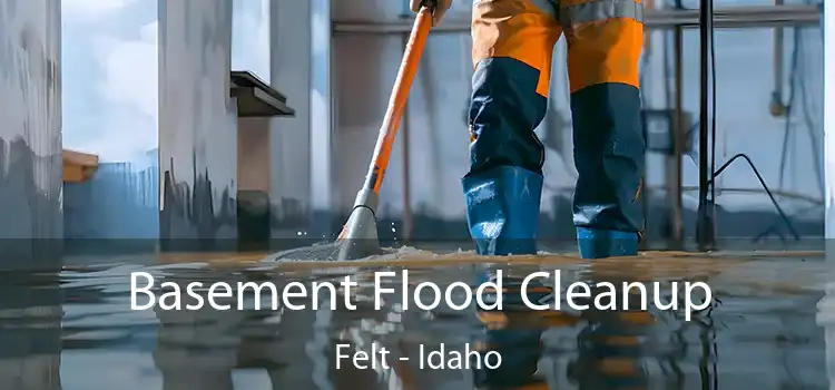 Basement Flood Cleanup Felt - Idaho