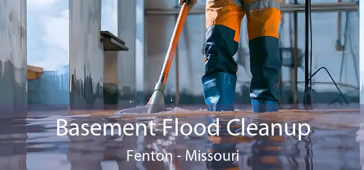 Basement Flood Cleanup Fenton - Missouri