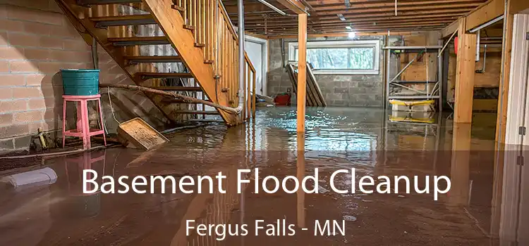 Basement Flood Cleanup Fergus Falls - MN