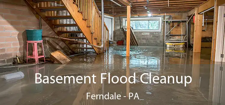 Basement Flood Cleanup Ferndale - PA