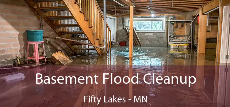 Basement Flood Cleanup Fifty Lakes - MN