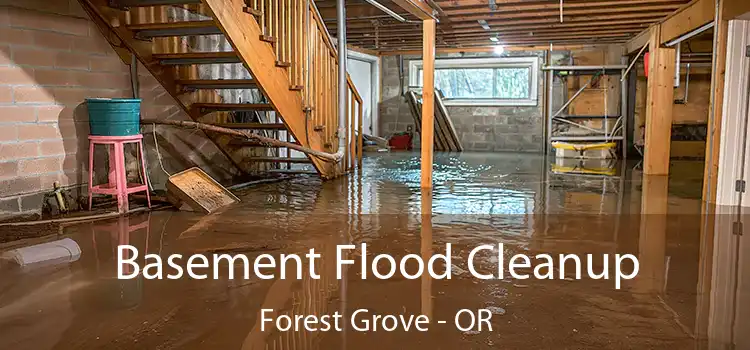 Basement Flood Cleanup Forest Grove - OR