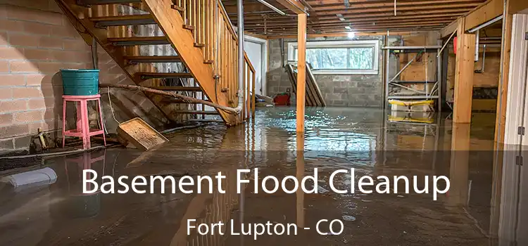 Basement Flood Cleanup Fort Lupton - CO