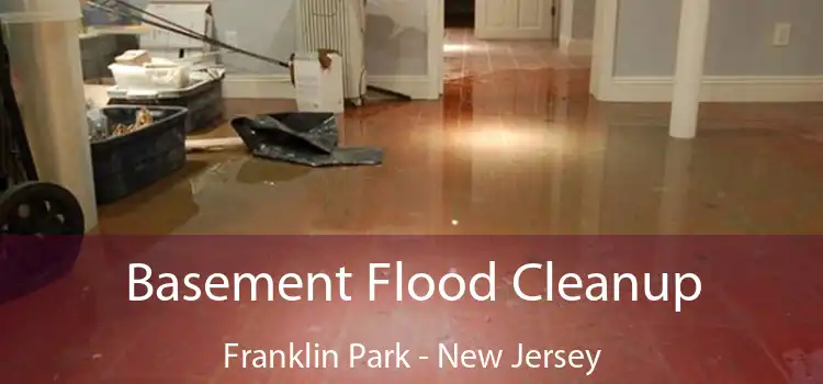 Basement Flood Cleanup Franklin Park - New Jersey