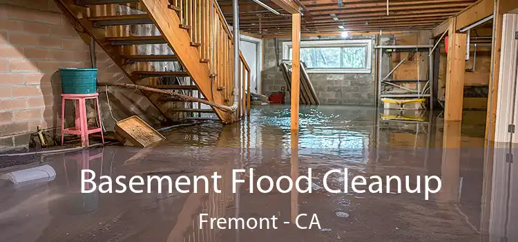 Basement Flood Cleanup Fremont - CA