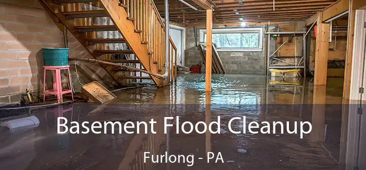 Basement Flood Cleanup Furlong - PA