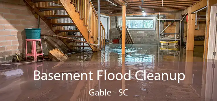 Basement Flood Cleanup Gable - SC