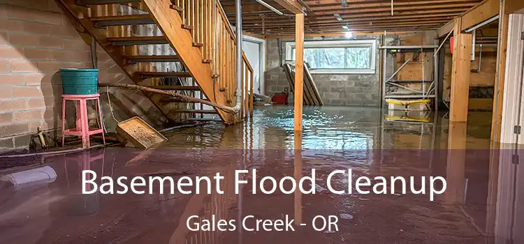 Basement Flood Cleanup Gales Creek - OR