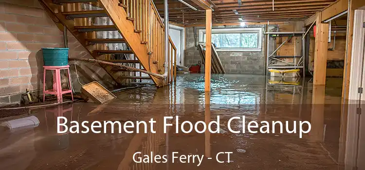 Basement Flood Cleanup Gales Ferry - CT