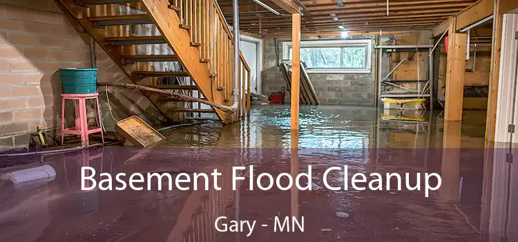 Basement Flood Cleanup Gary - MN