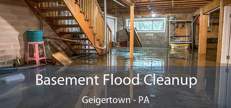 Basement Flood Cleanup Geigertown - PA