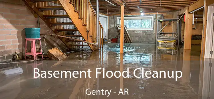 Basement Flood Cleanup Gentry - AR