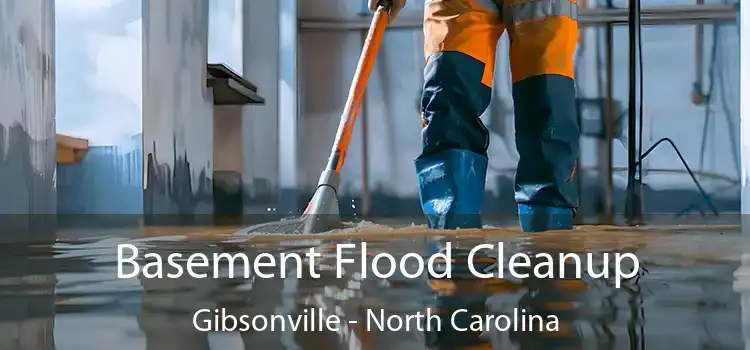 Basement Flood Cleanup Gibsonville - North Carolina