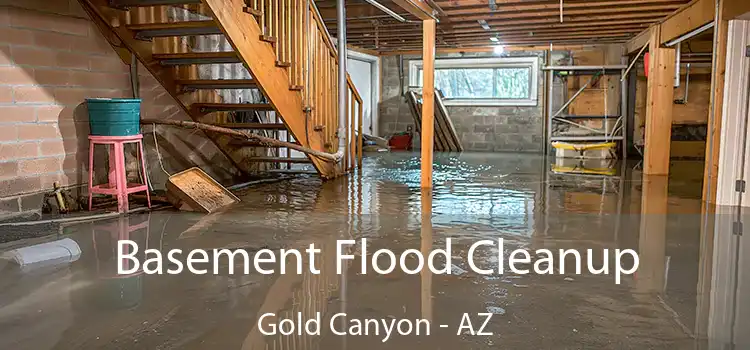 Basement Flood Cleanup Gold Canyon - AZ