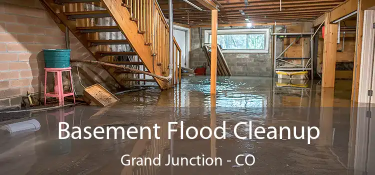 Basement Flood Cleanup Grand Junction - CO