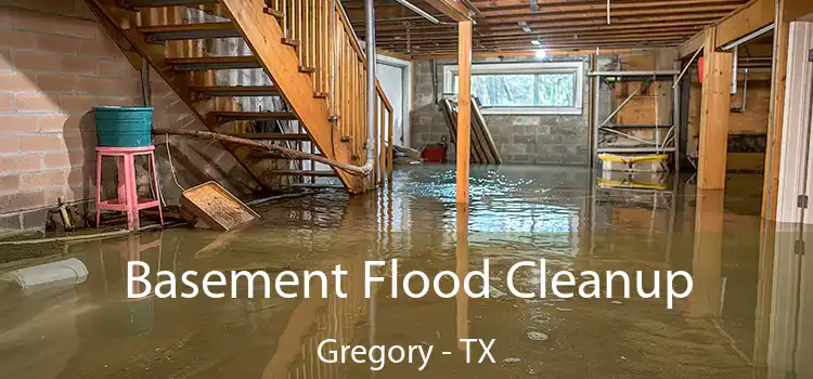 Basement Flood Cleanup Gregory - TX