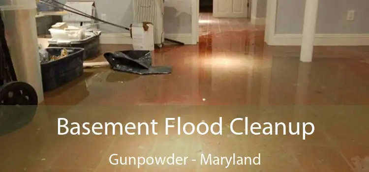 Basement Flood Cleanup Gunpowder - Maryland