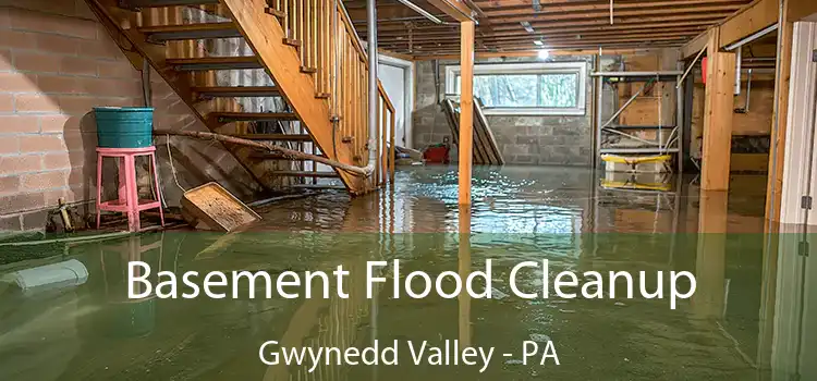 Basement Flood Cleanup Gwynedd Valley - PA