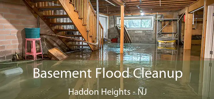 Basement Flood Cleanup Haddon Heights - NJ