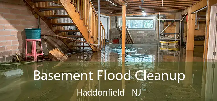 Basement Flood Cleanup Haddonfield - NJ