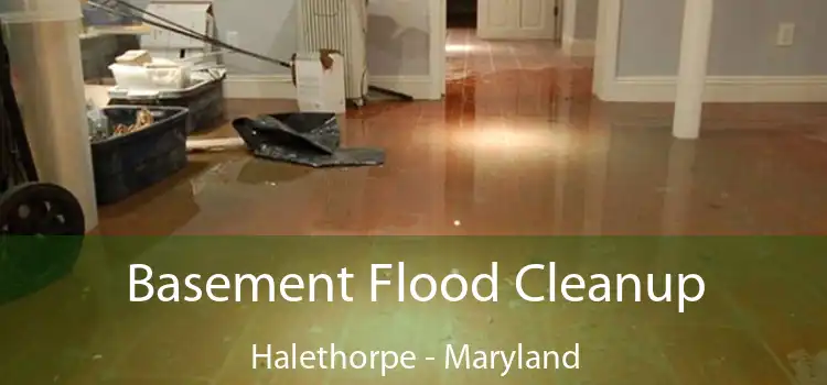 Basement Flood Cleanup Halethorpe - Maryland