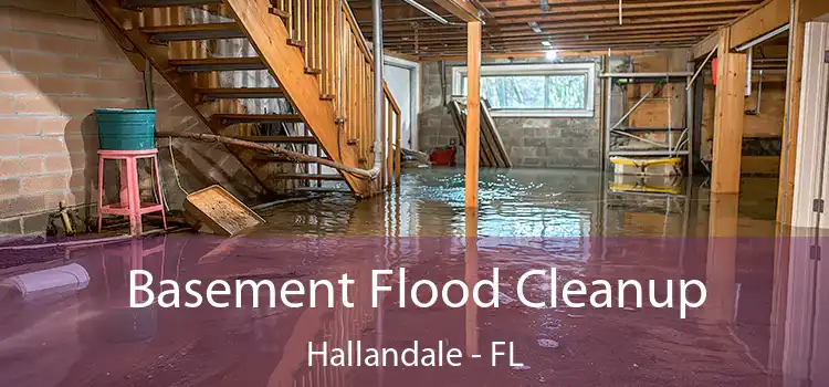 Basement Flood Cleanup Hallandale - FL