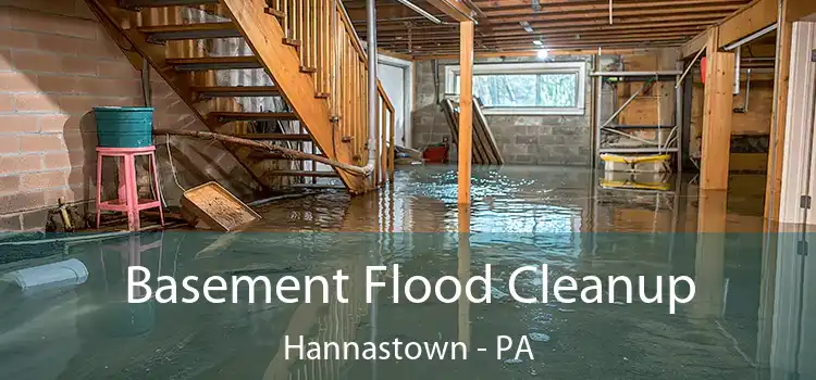 Basement Flood Cleanup Hannastown - PA