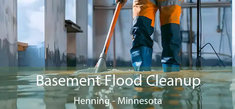 Basement Flood Cleanup Henning - Minnesota