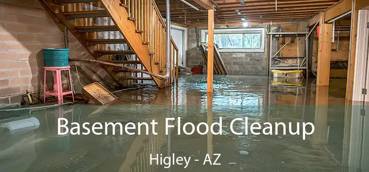 Basement Flood Cleanup Higley - AZ