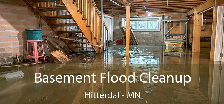 Basement Flood Cleanup Hitterdal - MN