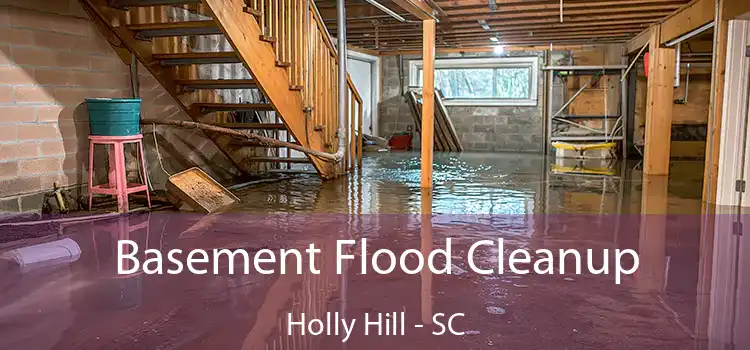 Basement Flood Cleanup Holly Hill - SC