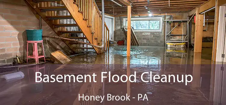 Basement Flood Cleanup Honey Brook - PA