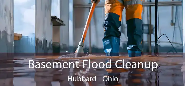 Basement Flood Cleanup Hubbard - Ohio