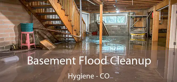 Basement Flood Cleanup Hygiene - CO