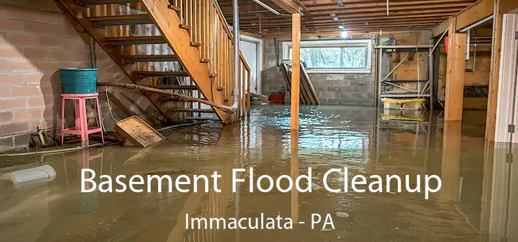 Basement Flood Cleanup Immaculata - PA