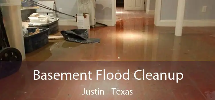 Basement Flood Cleanup Justin - Texas