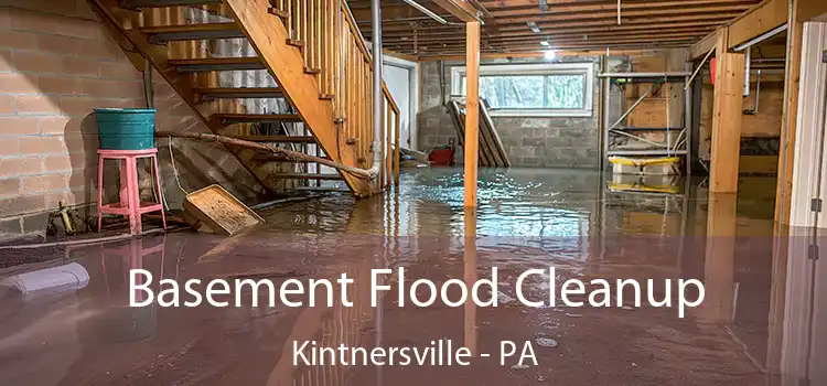 Basement Flood Cleanup Kintnersville - PA