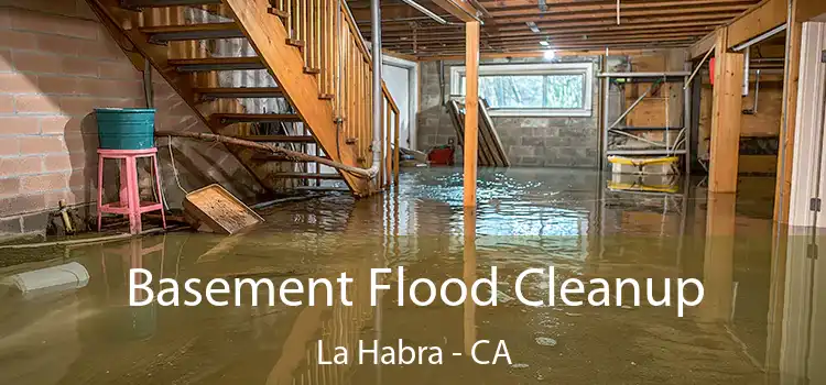 Basement Flood Cleanup La Habra - CA