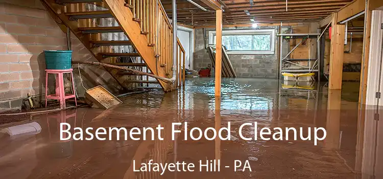 Basement Flood Cleanup Lafayette Hill - PA