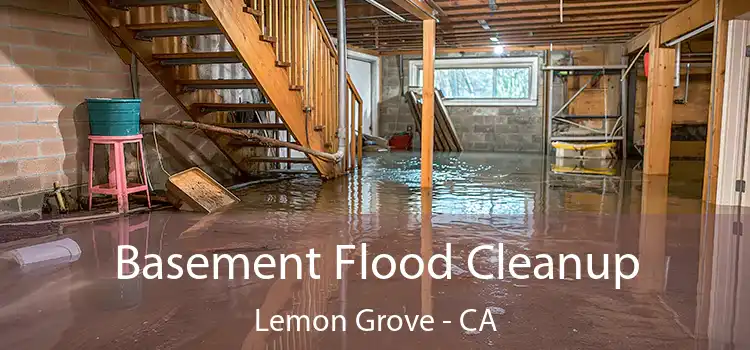 Basement Flood Cleanup Lemon Grove - CA