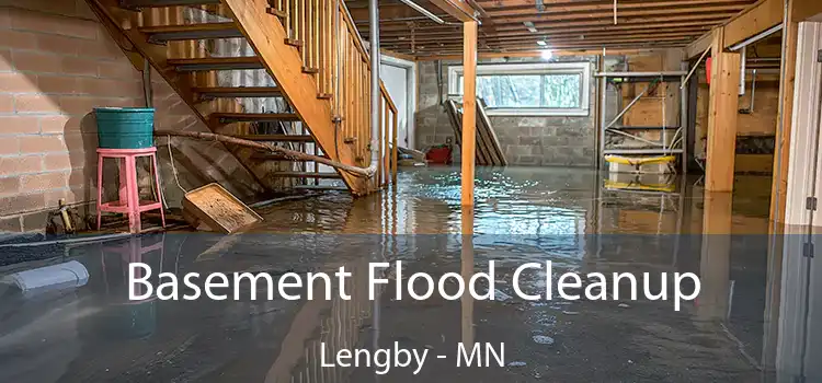 Basement Flood Cleanup Lengby - MN