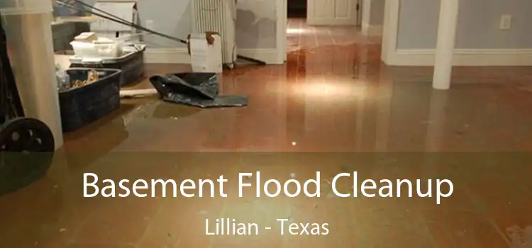 Basement Flood Cleanup Lillian - Texas