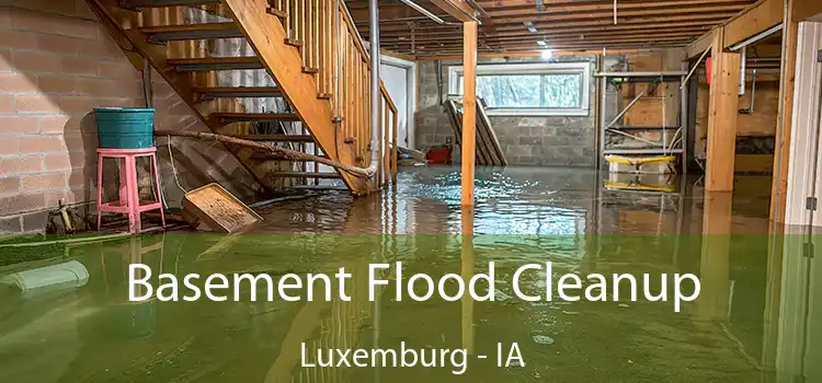 Basement Flood Cleanup Luxemburg - IA