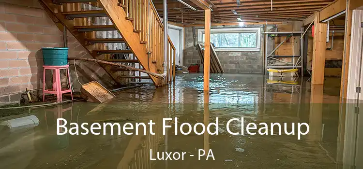 Basement Flood Cleanup Luxor - PA