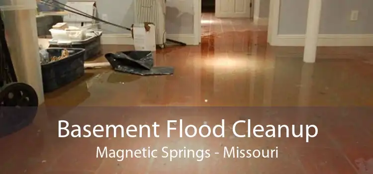 Basement Flood Cleanup Magnetic Springs - Missouri