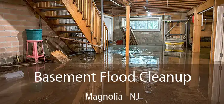 Basement Flood Cleanup Magnolia - NJ